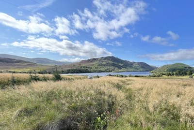 Plot of Land at Loch Ruthven, Farr