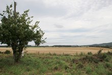 Plot at Muiryden Farm, IV10 8SW