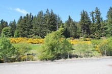 Plots in Drummuie, KW10 6UD