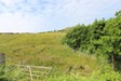 Looking from the bottom of the croft to the top