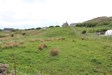 Flat area to top of croft