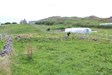 View of old walls to top of the croft