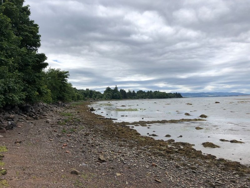Foreshore by Beauly Firth, IV3 8RG
