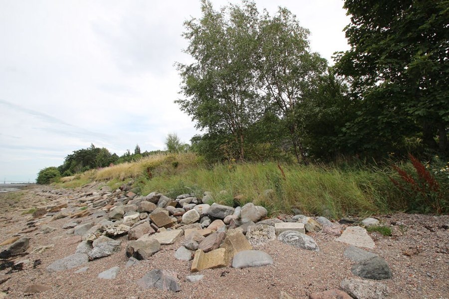 Foreshore by Beauly Firth, IV3 8RG