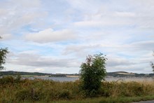 Foreshore by Beauly Firth, IV3 8RG
