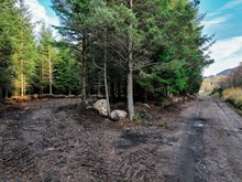 Plot West of Fechlin House, Moor of Knockchoilum, IV2 6UR
