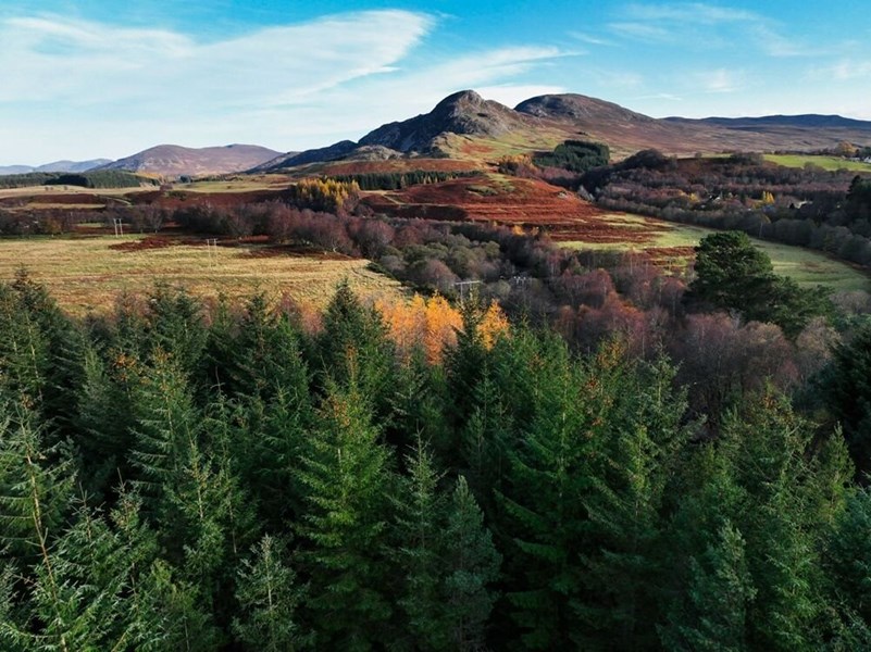 Plot West of Fechlin House, Moor of Knockchoilum, IV2 6UR