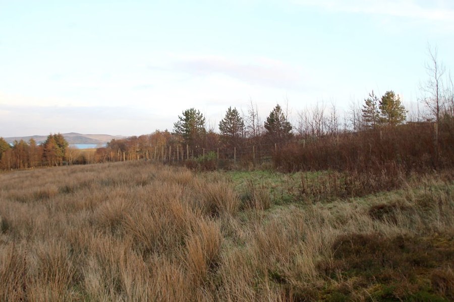 Plot B at Sand, IV22 2ND