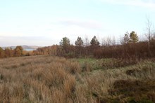 Plot B at Sand, IV22 2ND