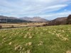 pasture looking east