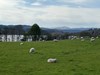 Loch Meikle nearby