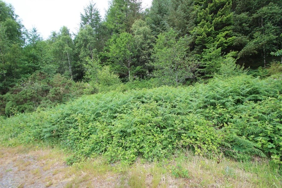 Plot at Inverinate, Kyle, IV40 8HB