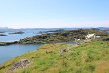 Assignation of Croft 3 Badcall, Scourie, IV27 4TH