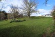 Common Green