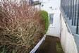 Rear Pathway