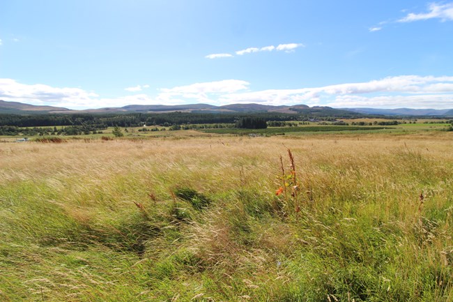 Land, 3 Acres at Achlaschoille, Farr IV2 6XG
