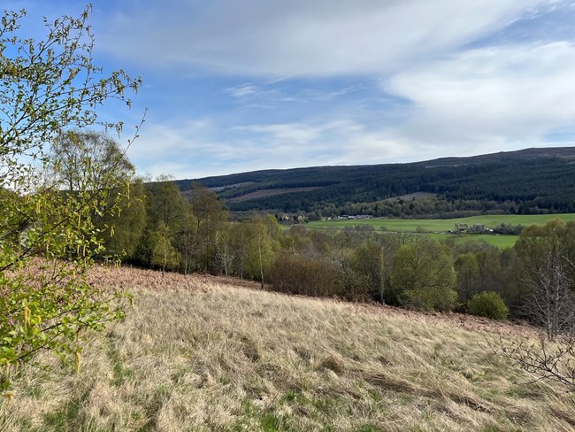 Plot at Incheart, Bearnock, Drumnadrochit Glenurquhart IV63 6TN