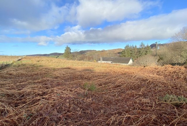 Land at Tigh Lochan, Scourie, Lairg IV27 4SX
